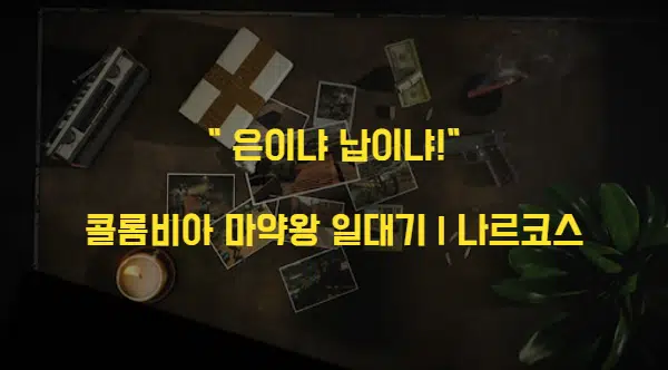  넷플릭스 나르코스 정보 | 마약왕 범죄 카르텔 관련 다큐 드라마