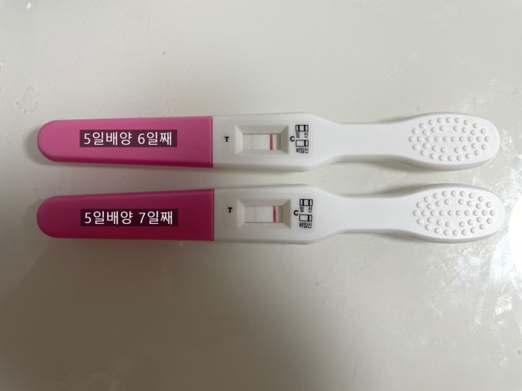 [시험관6차] 신선5일배양 최상급1개이식 7일째 희미한두줄 임테기반응