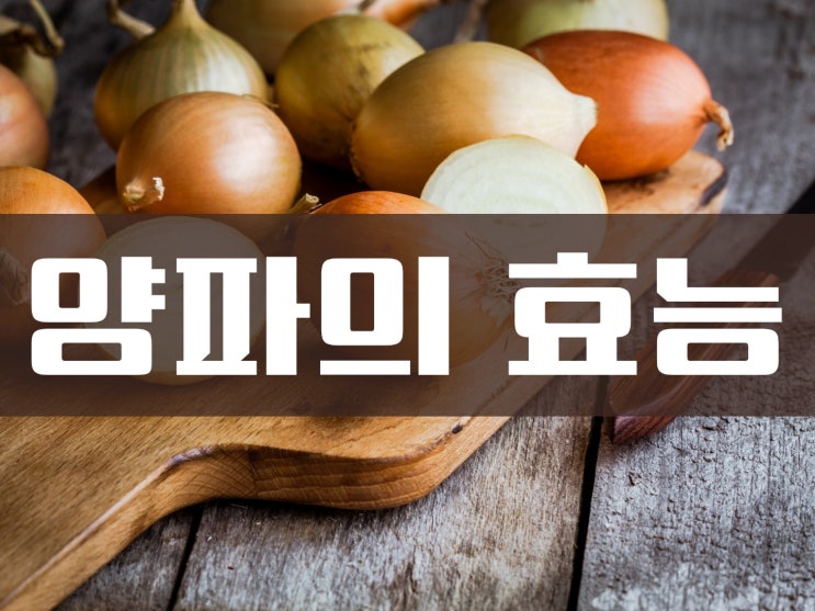 동맥경화 개선과 예방에 좋은 음식 양파의 효능