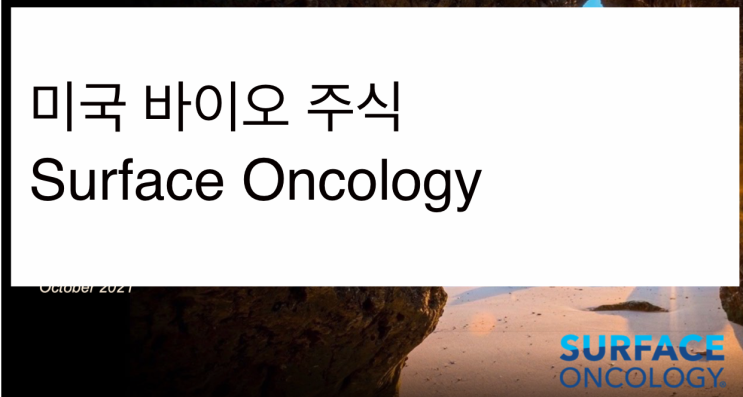 [미국주식] 2021.11.30  Surface Oncology (SURF), 1st visit, IL-27, CD39, CCR8, 면역항암요법