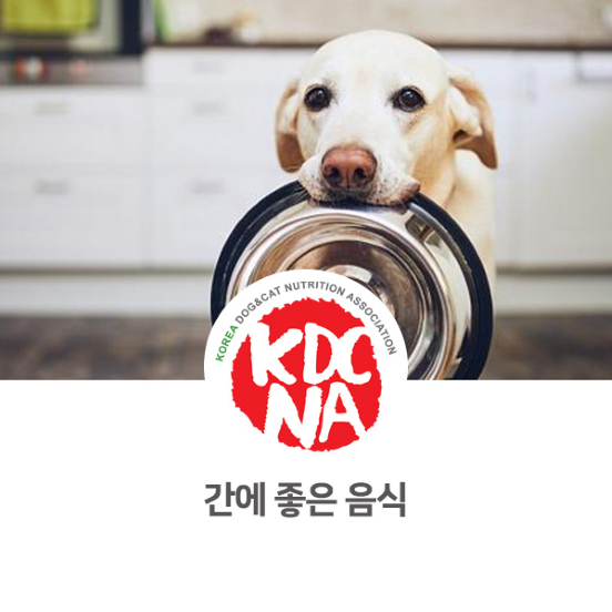  [한국반려동물영양협회/펫푸드자격증/반려동물영양전문강사/펫푸드수업/제주/전주/대전/부여/보은/진천]_927