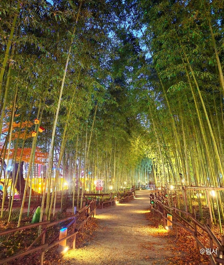  진주 남가람별빛길_ 진주성 야경이 보이는 남가람공원 (아이랑 밤산책)