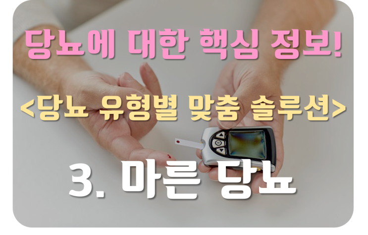  당뇨에 대한 모든 핵심 정보! (증상, 식단, 약) - 마른 당뇨