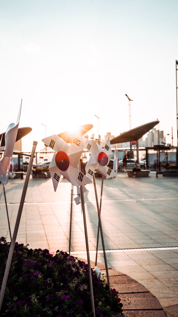  대구 수성구 고등학교 : 학군 비교 분석 (대학 진학률 & 학업성취도)