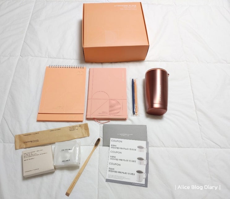  2022 투썸 데일리 키트 / 환경을 생각하는, 투썸플레이스 다이어리 찐리뷰 (A TWOSOME PLACE 2022 DAILY KIT)