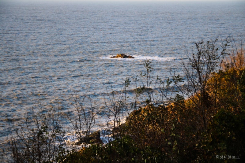 광주 근교 서해안 드라이브 영광 백수해안도로 바다 구경 : 네이버 블로그