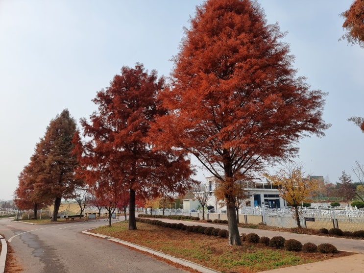  안성팜랜드! 가족 온천 다녀온 다음날 간곳^^