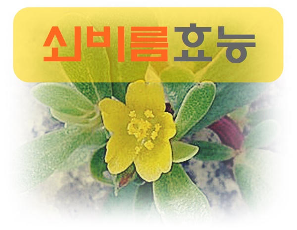 쇠비름 효능 알고 먹어요
