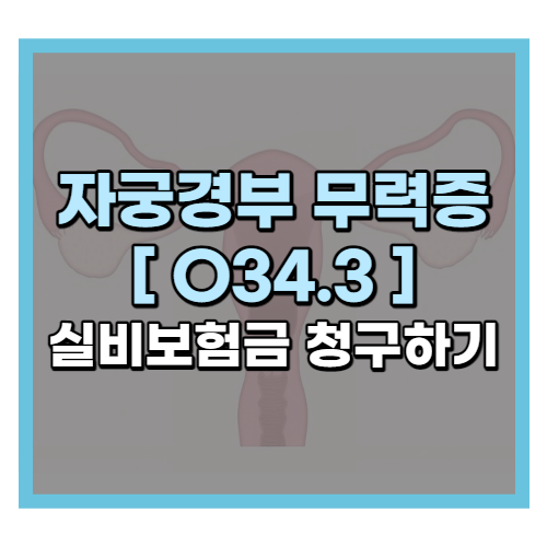  자궁경부 무력증 O34.3 실비 보험금 청구하기