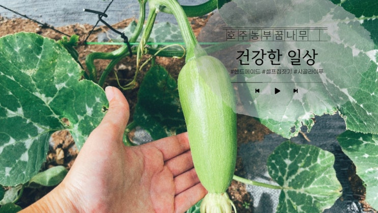  건강한 일상~ #유기농비빔밥 #불멍 #호박