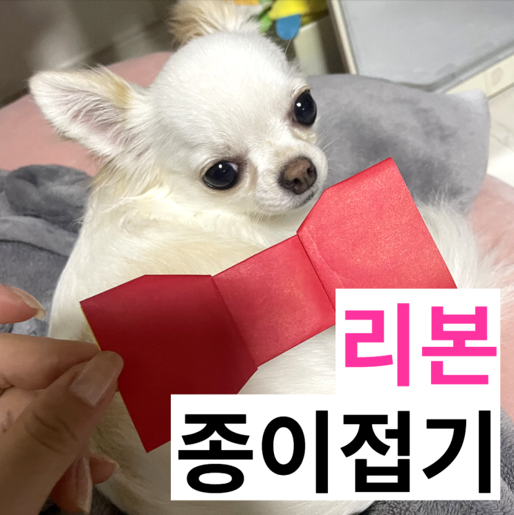  색종이리본 종이로 접기 따라하기 쉬운 재미있는 시간이에요