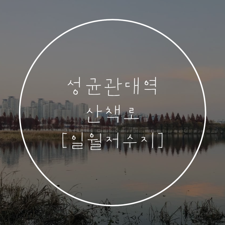  성균관대역 [일월 저수지] 단풍 구경