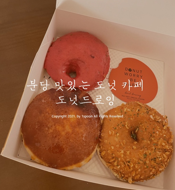  분당 핫플 대왕판교로 디저트카페 도넛드로잉 바질크림치즈 도넛 반려견 동반 카페