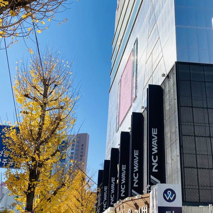 광주 충장로 맛집 - 피자몰에서 연말모임 추천해요 광주 충장로 맛집 - 피자몰에서 연말모임 추천해요