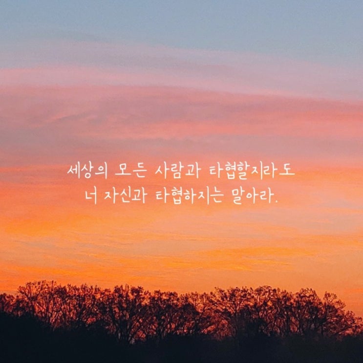  부거사이 [부동산 뉴스와 블로그] 12월 1일(수)