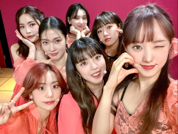 위키미키 11월 소식