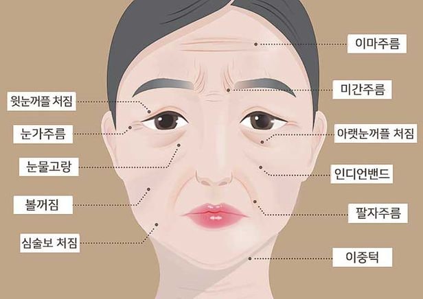 얼굴 운동이 정말로 주름과 처진 피부를 예방하는 데 효과가 있을까요? 8