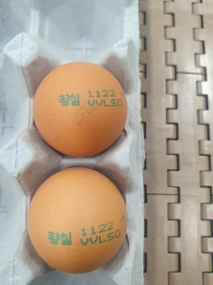  히타치 잉크젯 프린터  발 빠른 AS로 계란 마킹 이력 관리하는 법 알려드려요