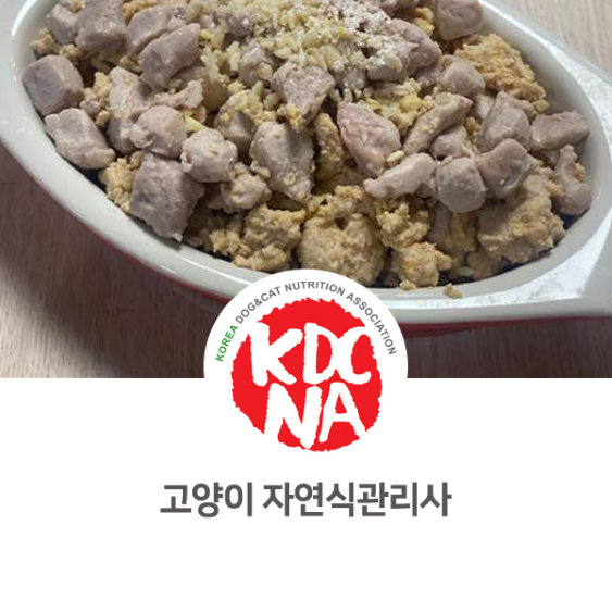  최수연펫푸드아카데미 고양이 자연식 관리사 자격 수업 후가 [한국반려동물영양협회/강아지화식/고양이화식/펫푸드창업/펫푸드자격증/의정부/수원/동두천/양주/강화]_932