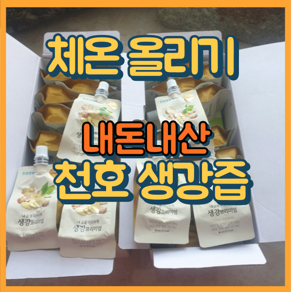  생강액 생강즙 수족냉증 천호 체온 올리기 후기