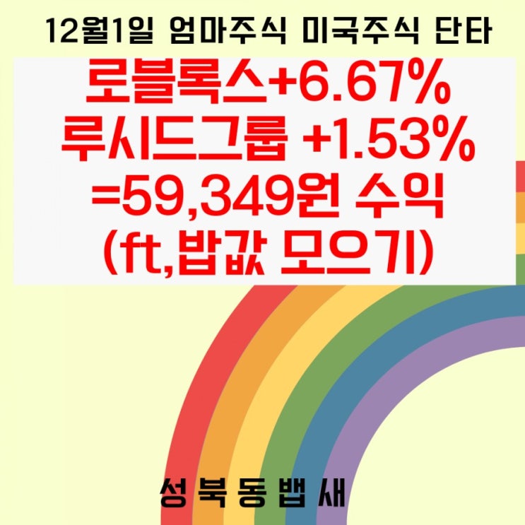  12월 시작 미국주식 로블록스, 루시드그룹 단타 +59,349원