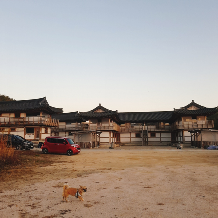  경주 애견 동반 펜션 감포 한옥펜션