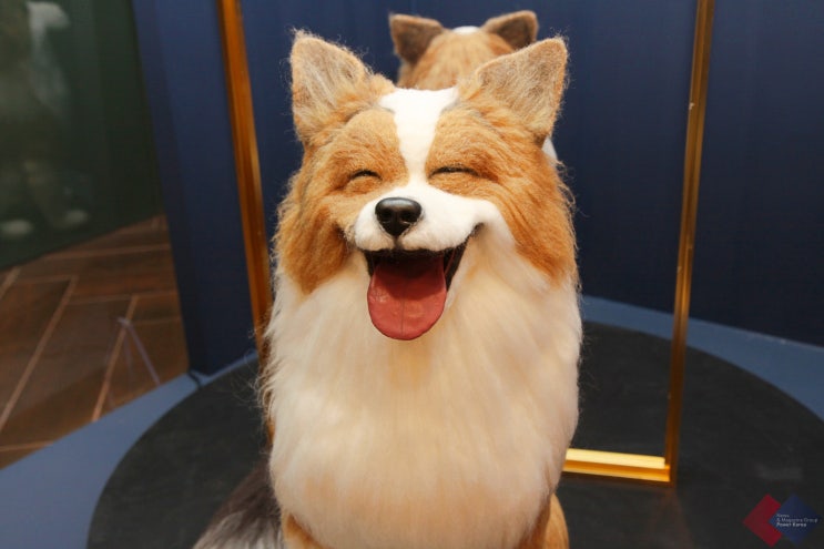포춘테일에 소개된 니들펠트로 만든 강아지, 한국니들펠트협회가 선보인 눈앞에서 감상하는 반려동물 양모펠트