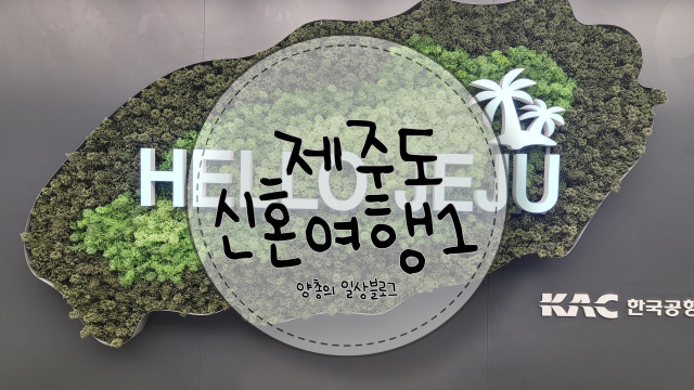  제주도 신혼여행 Day1