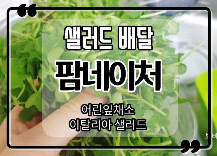 샐러드배달 팜네이처 어린잎채소와 이탈리아샐러드 다이어트식단