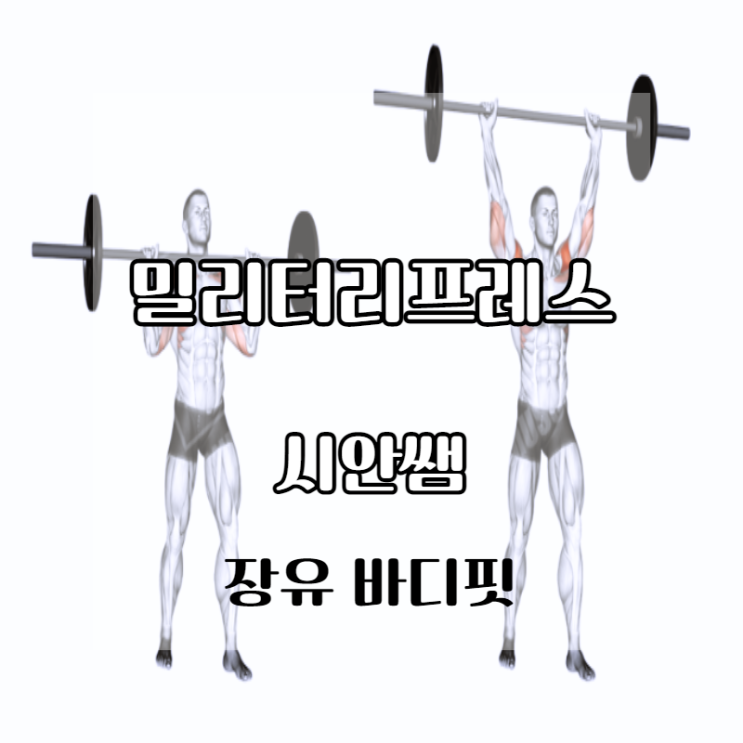 어깨 운동 밀리터리 프레스 장유 헬스장