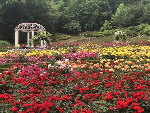 장기미집행 인천 ‘장미공원’, 77년 만에 전체 완공