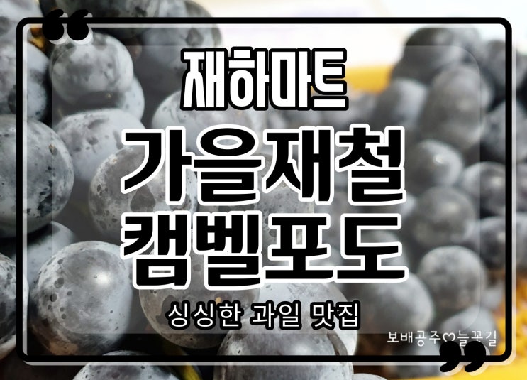  영동 캠벨포도 재하마트에서 제철과일 맛있어요