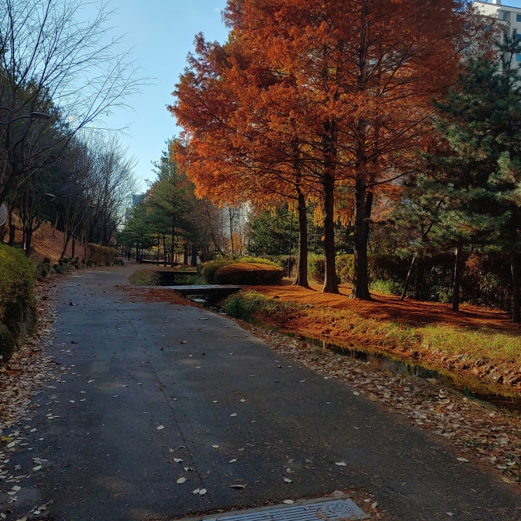  12월의 시작