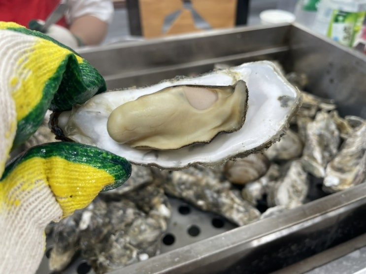  [음식] 천북굴단지 삼형제수산