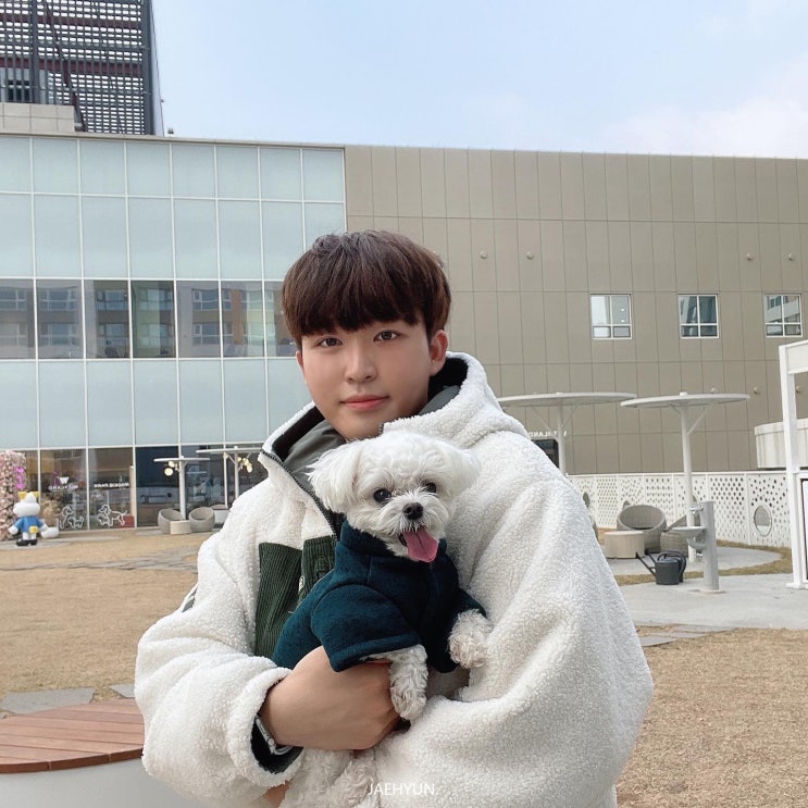  수원 애견카페 위드랜드 동탄점 너무 좋아 회원권 결제했어요