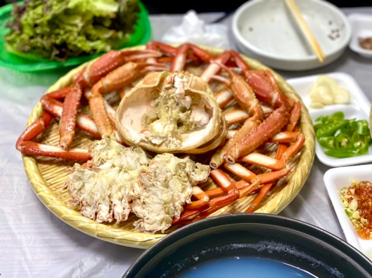 속초 대포항 회센터 맛집 인어교주해적단이 추천한 한성호에서 홍게 자연산회 먹은 후기