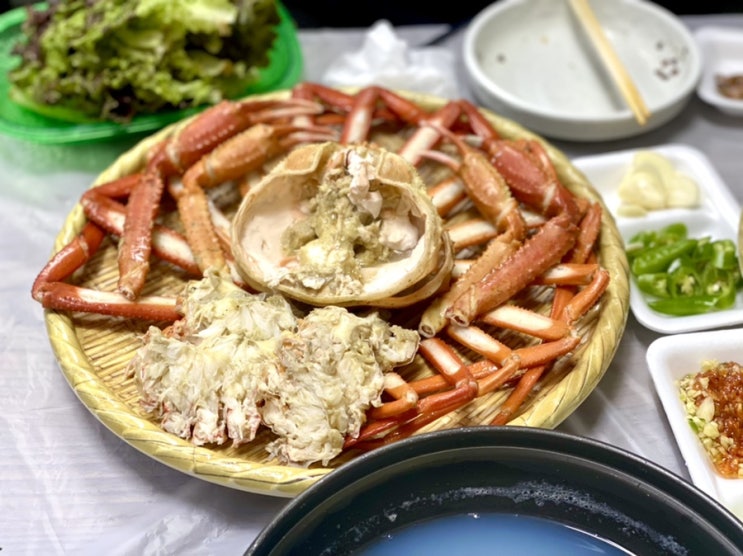  속초 대포항 회센터 맛집 인어교주해적단이 추천한 한성호에서 홍게 자연산회 먹은 후기