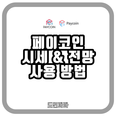  페이코인 시세와 전망, 충전과 결제 방법까지 정리
