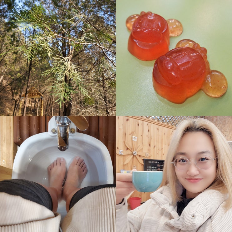  슬로시티수산 측백숲 투어 충북 제천 체험여행