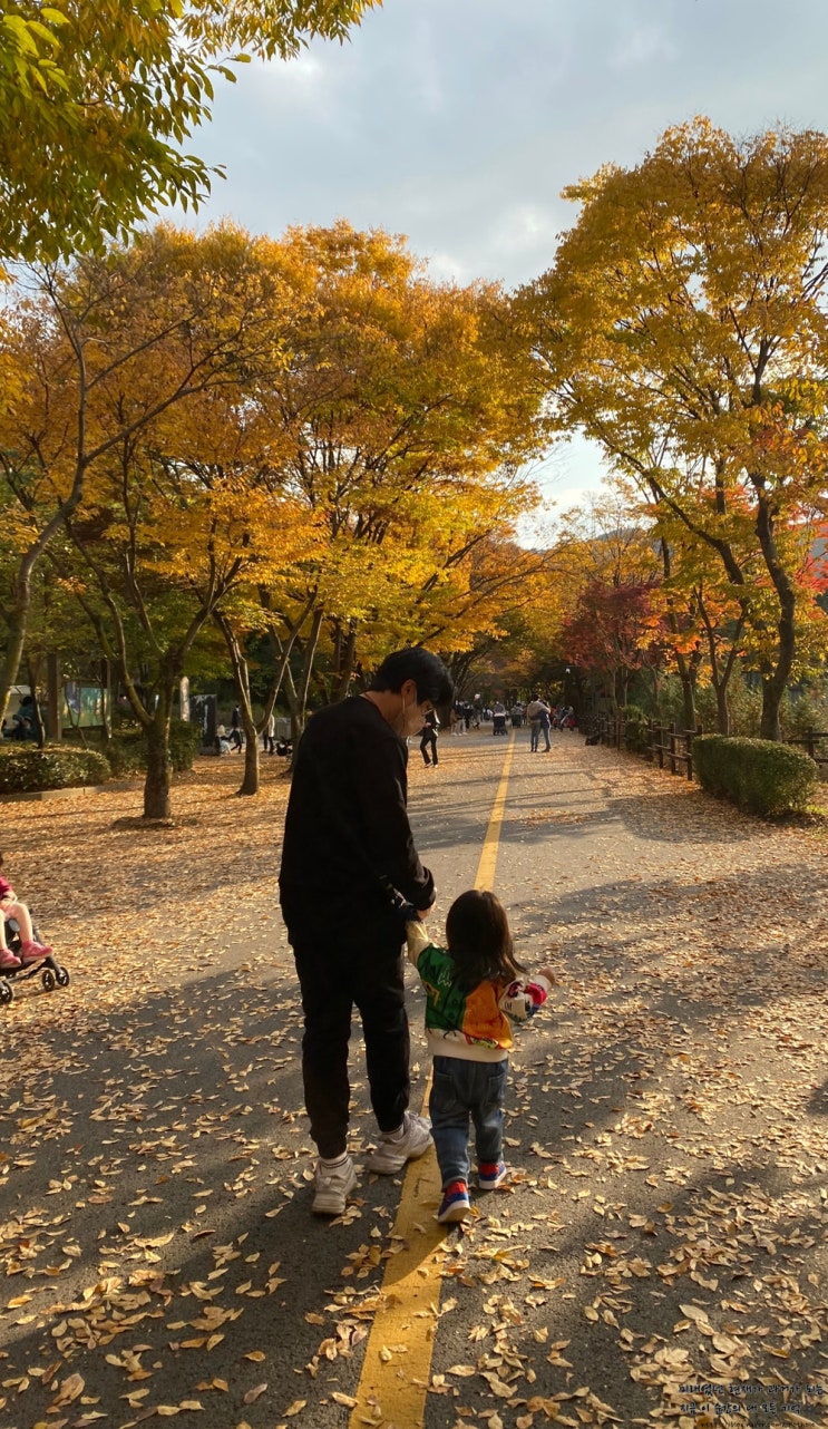 아이와 경기도 주말 나들이 과천 서울대공원 동물원