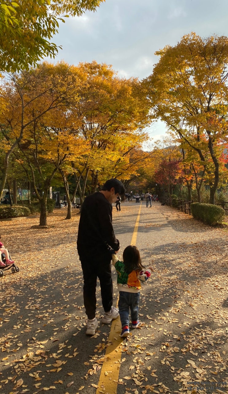  아이와 경기도 주말 나들이 과천 서울대공원 동물원