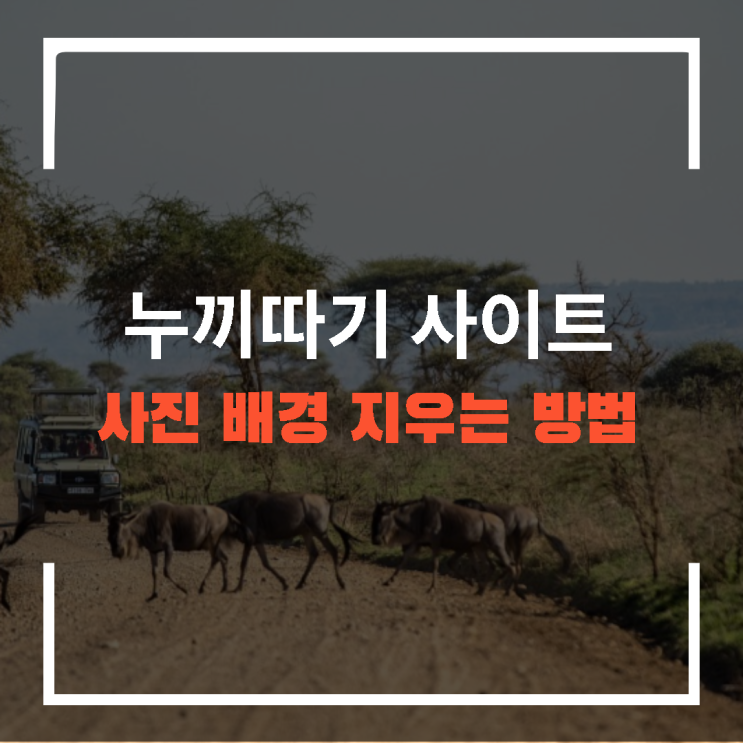  사진 배경 지우기 누끼따기 사이트 무료 누끼따는 사이트