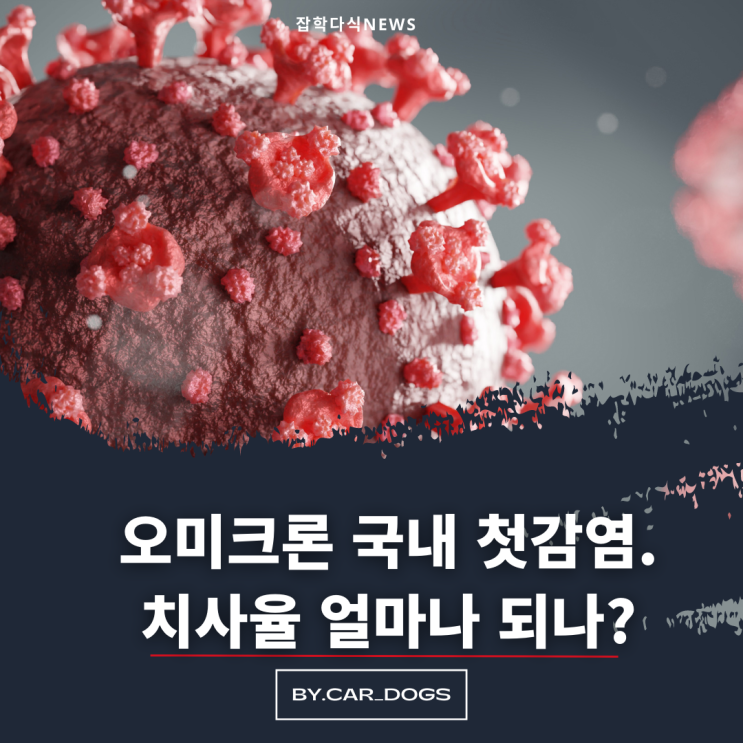 오미크론 치사율 8배,국내 첫감염자 발견..백신효과는 얼마나 될까?