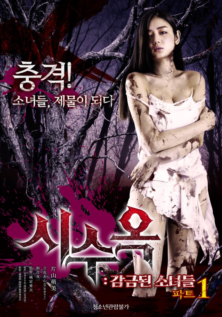  조금은 야한 B급영화들 모음 : 슈가박스 시수옥 감금된 소녀들 투나잇쉬컴즈 누드걸스