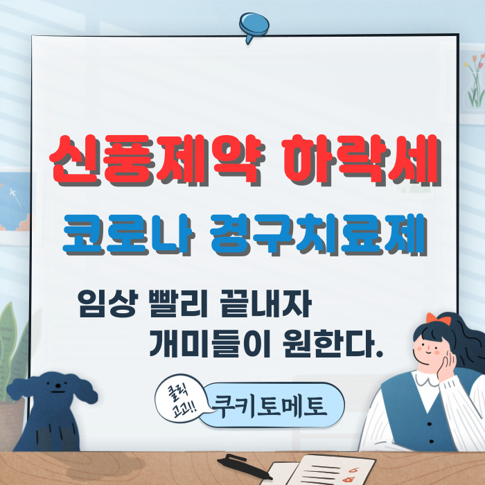  신풍제약  주가 하락세 코로나 경구치료제 피라맥스 개발사