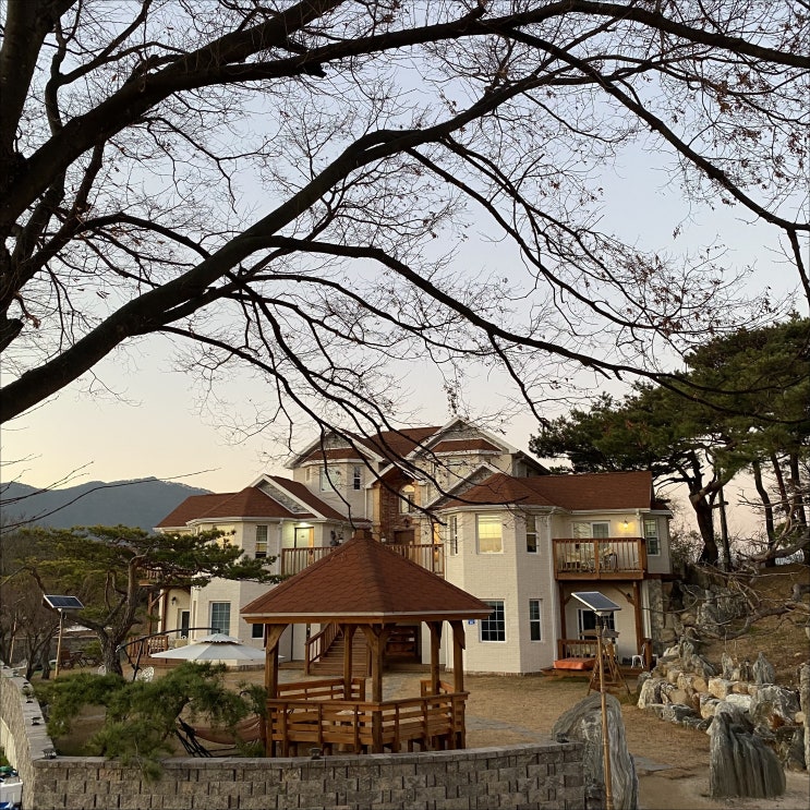  제천 황금 송어 포장 / 1박 2일, 펜션 리뷰 (청풍면 호반의 성)
