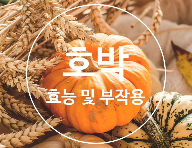 늙은 호박차 효능 과 부작용/출산후 호박즙 먹는 이유는?