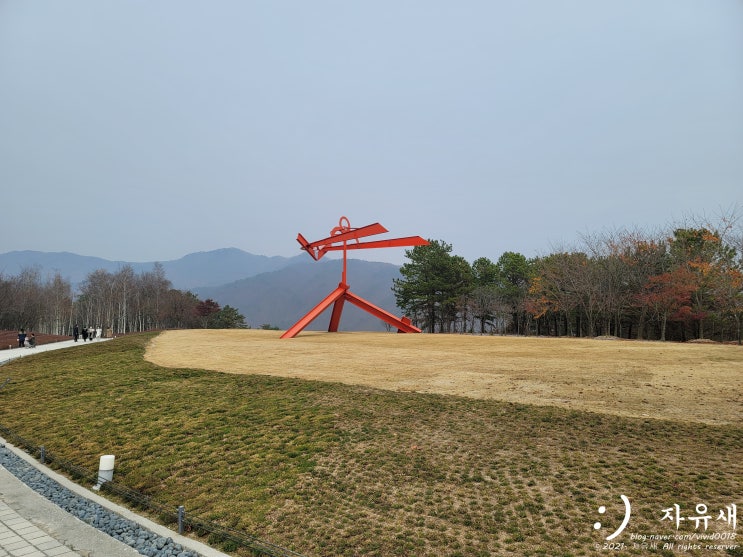  원주 실내 데이트 코스 로 오크밸리 뮤지엄산 좋아요