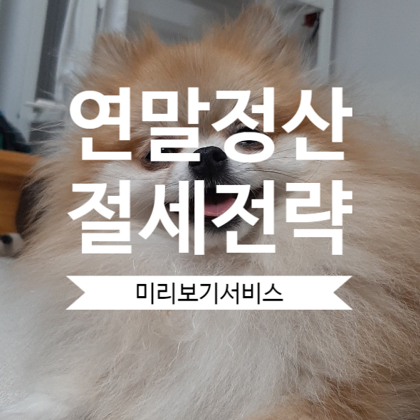  연말정산 절세전략 연말정산 미리 보기 서비스