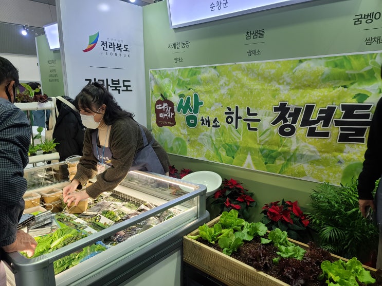 푸짐한쌈 코엑스 강소농 쌈채소 샐러드 참가